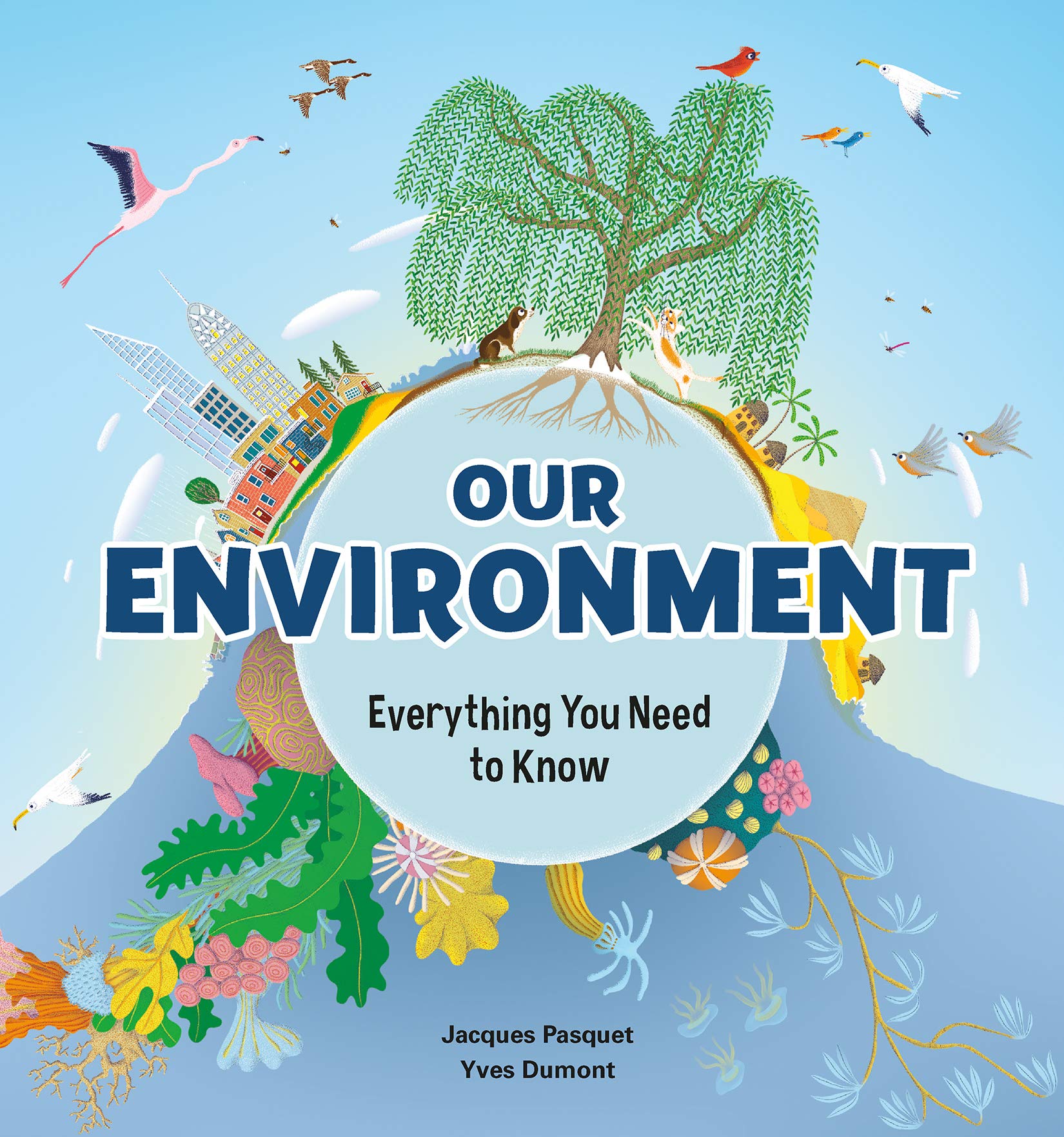 Our Environment: Everything You Need To Know