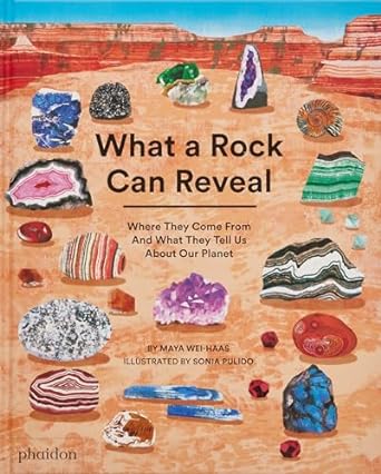 What a Rock Can Reveal: Where They Come From and What They Tell Us About Our Planet