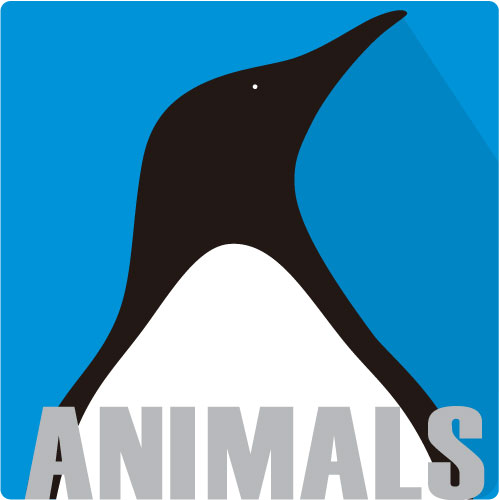 The Amazing World of Animals  | Animals Series Nonfiction