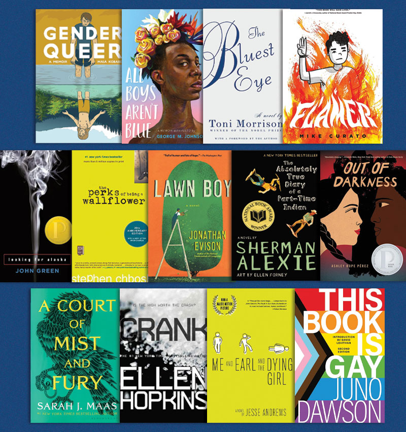 'Gender Queer' Tops List of 13 Most Challenged Books of 2022