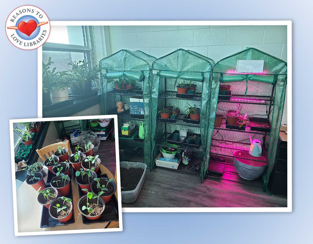 Librarian Brings Greenhouse, Sustainable Practices to School | Reasons to Love Libraries
